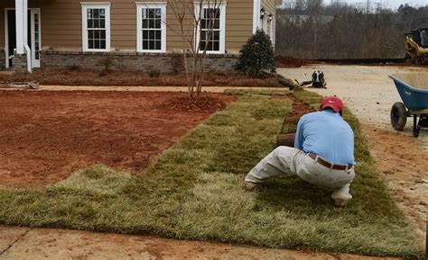 skid steer over drain field|septic field mowing.